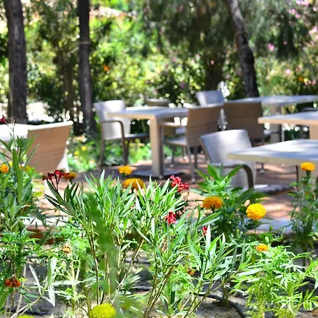 Peninsula Pine Club Boutique & Apart Otel *