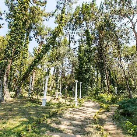 Peninsula Pine Club Boutique & Kusadasi
