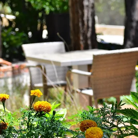 Peninsula Pine Club Boutique &